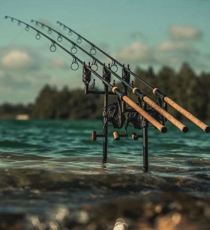 Hengelsport in Woerden