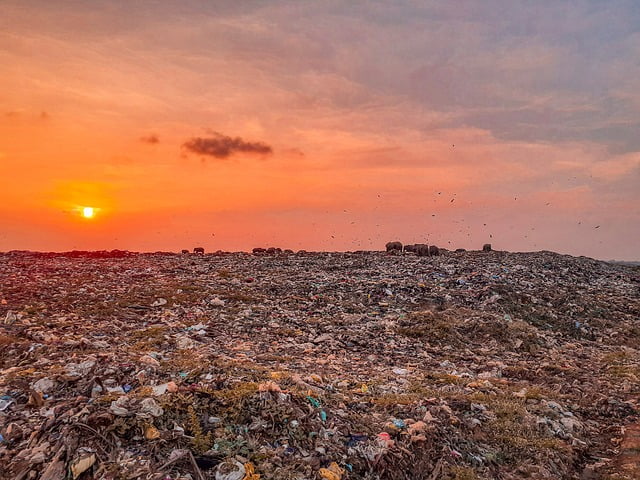 Vuilstort in Woerden
