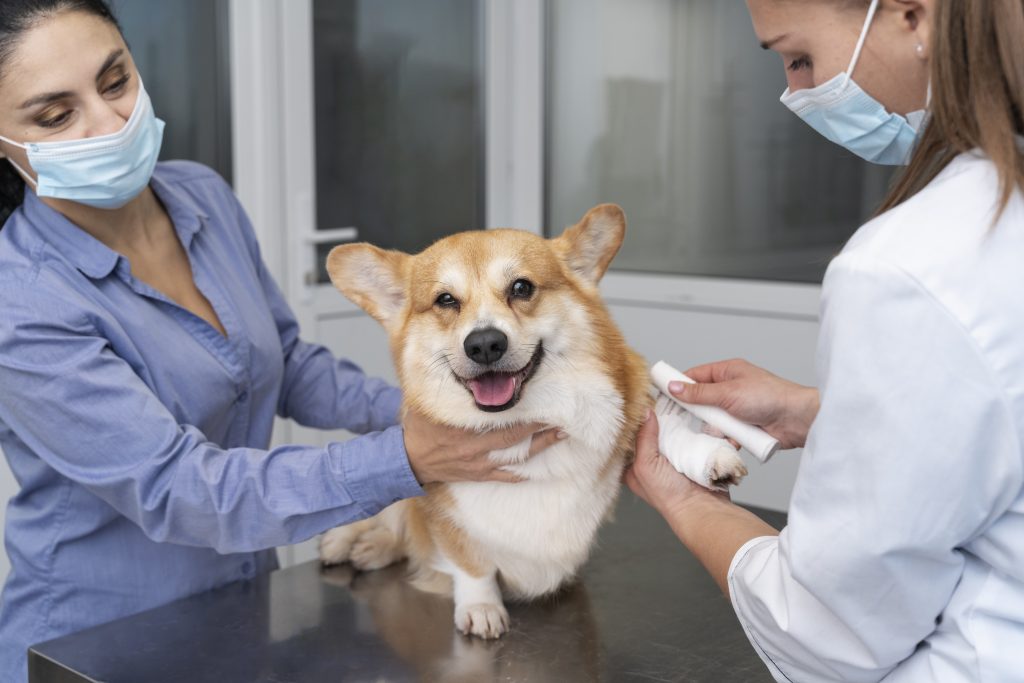 Dierenkliniek in Woerden